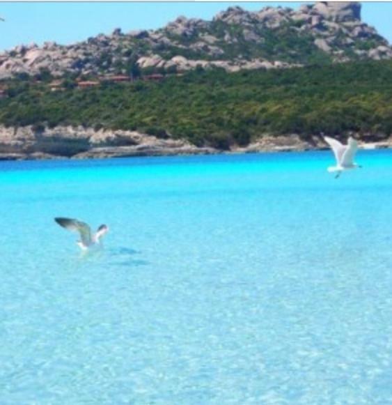 Gg Luxury Apartments - Santa Teresa Di Gallura エクステリア 写真